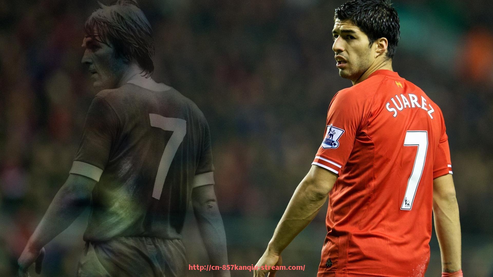 857直播看球平台-健身器材按摩配件功能与使用方法详解